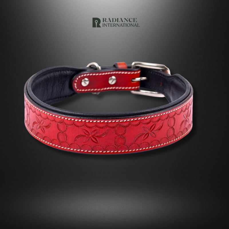 Radiance International Dog Collar