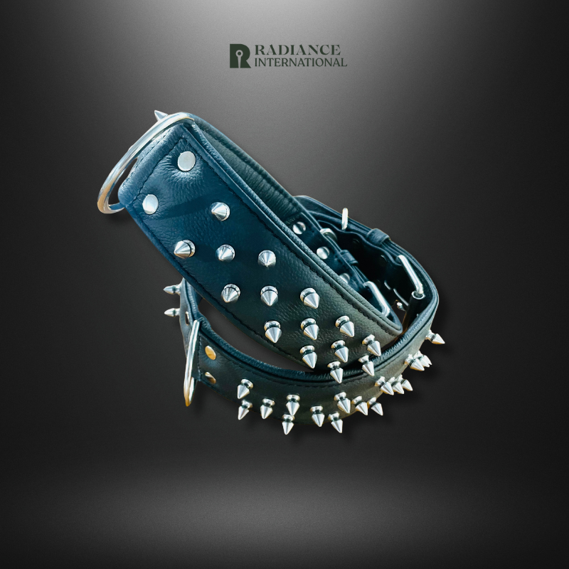 Radiance International Dog Collar