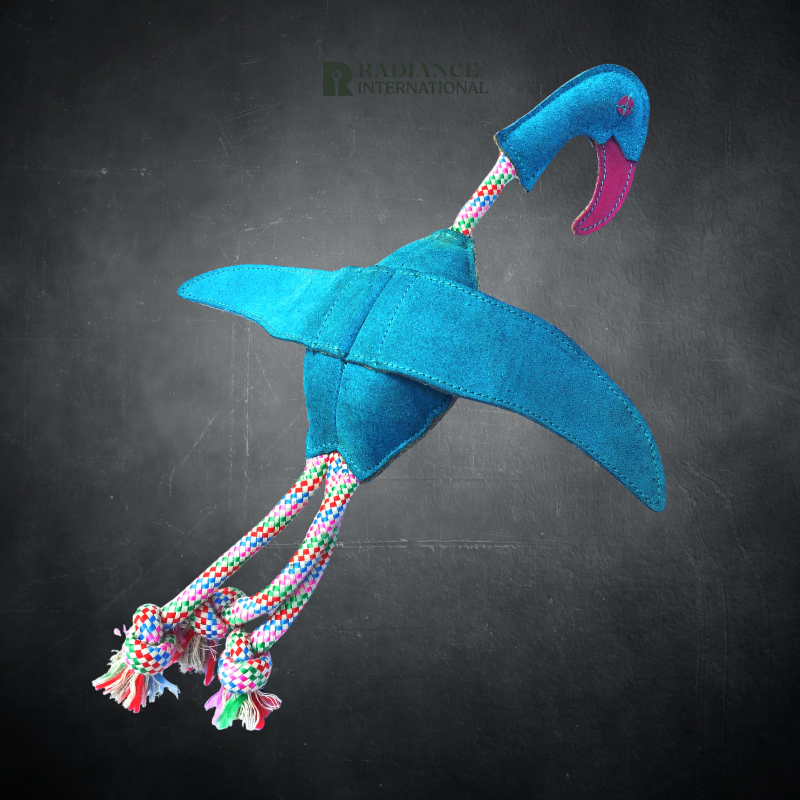 Radiance International