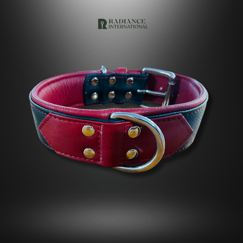 Radiance International Dog Collar