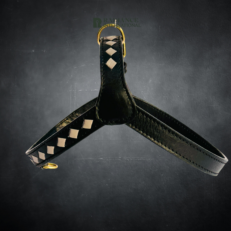 Radiance International